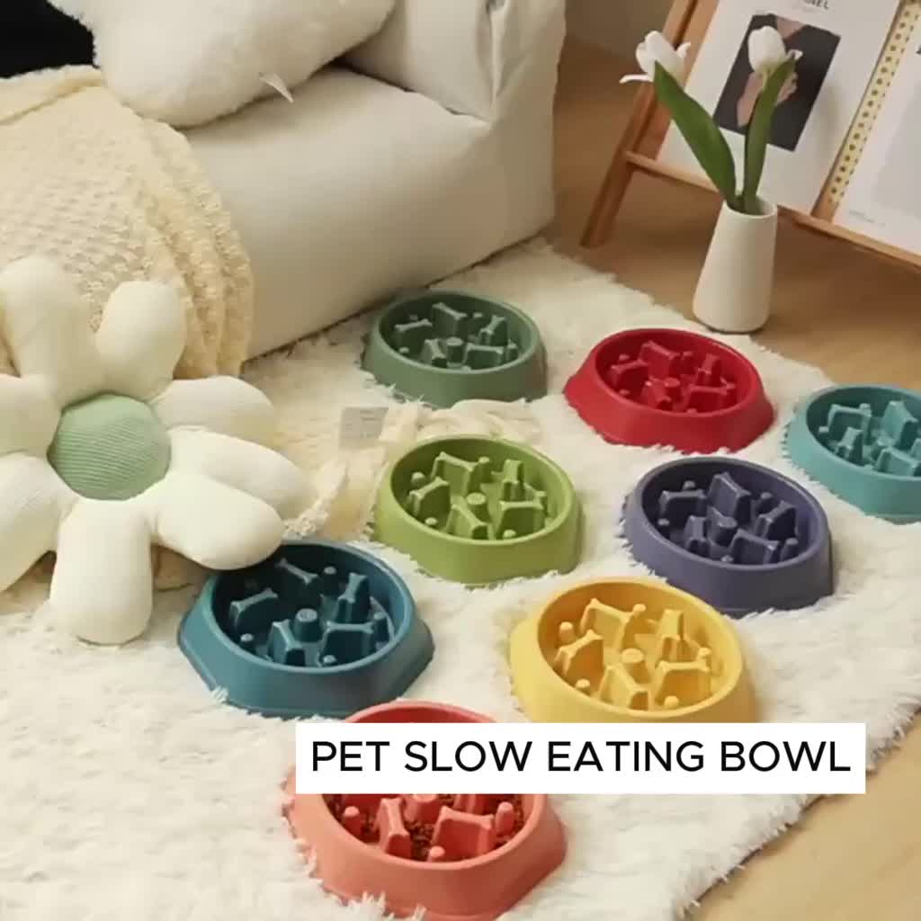 cat dog slow feed anti choking feeder bowl slow food bowl cat dog slow feed anti choking feeder bowl slow food bowl