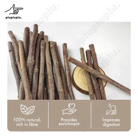apple sticks 100g chewing molar apple branch sticks rabbit chinchilla guinea pig hamster apple sticks 100g chewing molar apple branch sticks rabbit chinchilla guinea pig hamster