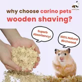 premium wood shaving for small animals pet bedding habuk kayu hamster rabbit guinea pig arnab premium wood shaving for small animals pet bedding habuk kayu hamster rabbit guinea pig arnab