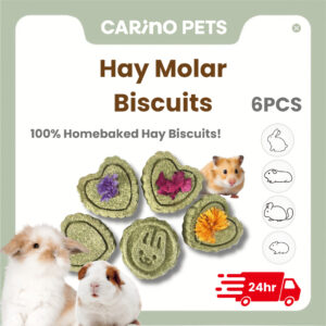 homemade hay molar biscuits 1pcs