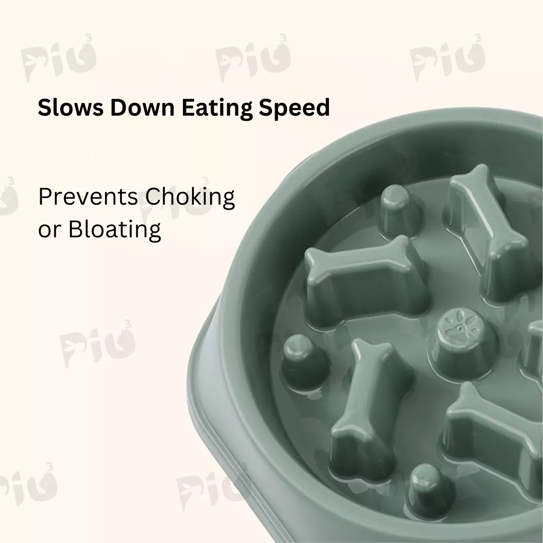 cat dog slow feed anti choking feeder bowl slow food bowl cat dog slow feed anti choking feeder bowl slow food bowl